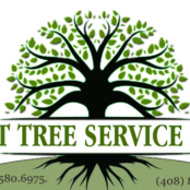 L&T Tree Service gallery 5